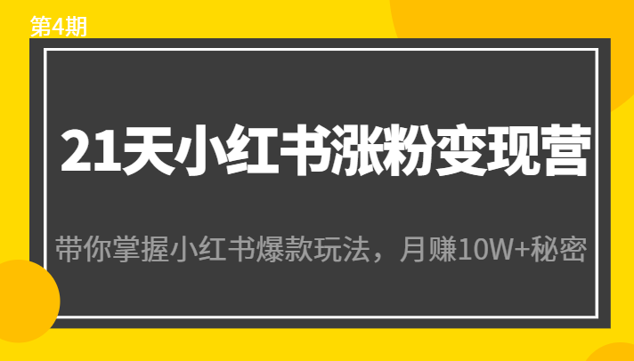 21天小红书涨粉变现营（第4期）：带你掌握小红书爆款玩法，月赚10W+秘密_七九老刘教程资源分享