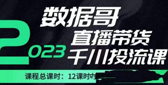 数据哥2023直播电商巨量千川付费投流实操课，快速掌握直播带货运营投放策略_七九老刘教程资源分享