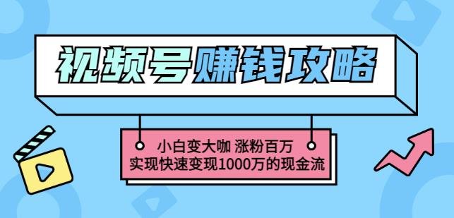 图片[1]_玩转微信视频号赚钱：小白变大咖涨粉百万实现快速变现1000万的现金流_七九老刘教程资源分享