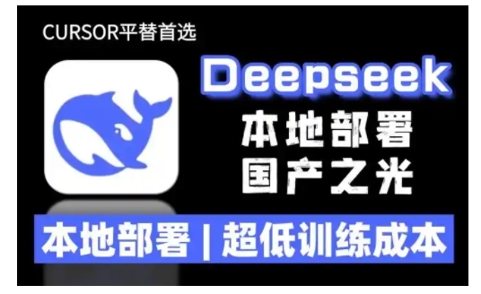 2025年deepseek R1 大型模型本地安装部署(文件+教程)本地部署，超低训练成本_七九老刘教程资源分享