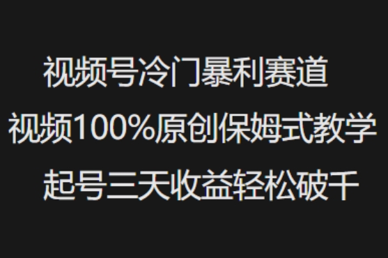 视频号冷门暴利赛道视频100%原创保姆式教学起号三天收益轻松破千_七九老刘教程资源分享